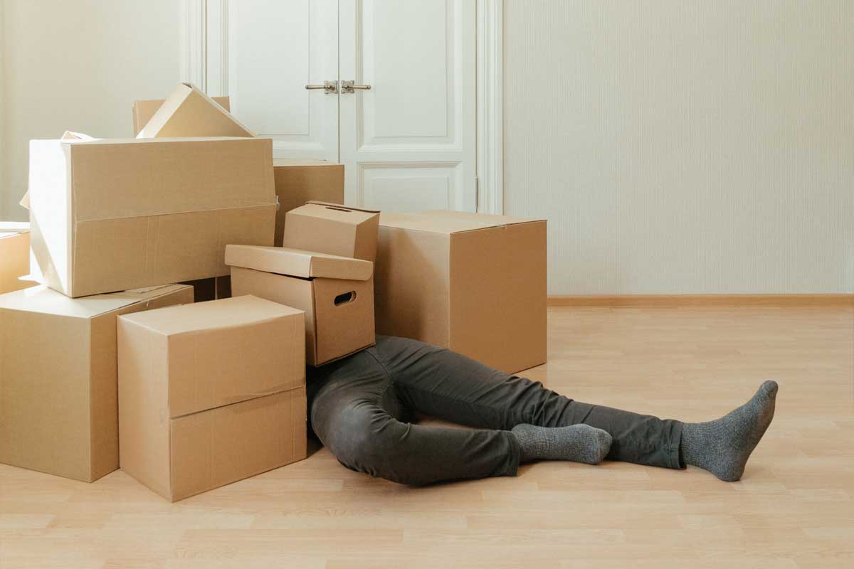 Image of a person buried in cardboard boxes